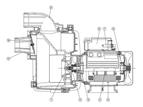 Bomba Nado Contracorriente Para Piscina, Espa 220v
