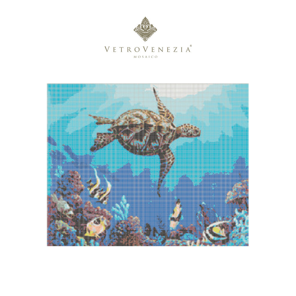 TORTUGA Y ARRECIFE 1