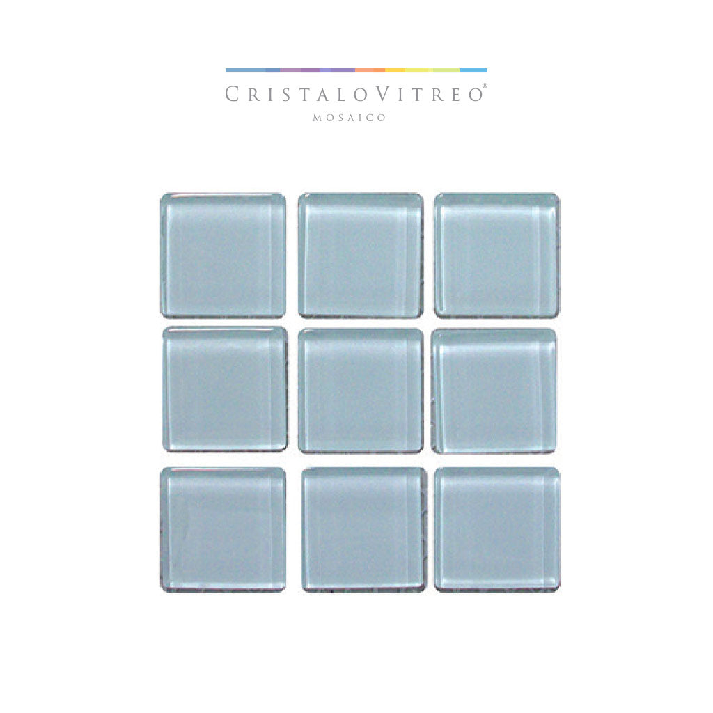 COLOR BLANCO “VC955”