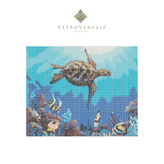 TORTUGA Y ARRECIFE 1