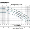 Moto bomba de recirculación para piscina SILVER 1 hp 115 V